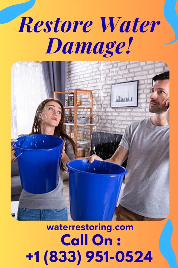 water restoration Ultimate Flood Mitigation Co Devon